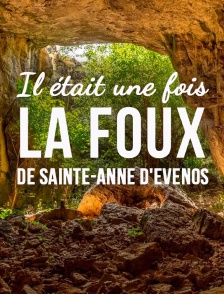 Il était une fois la Foux de Sainte-Anne d'Evenos
