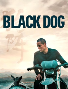 Black Dog