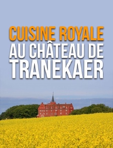 Cuisine royale au château de Tranekaer