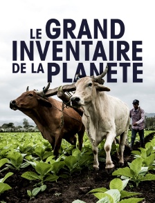 Le grand inventaire de la planète