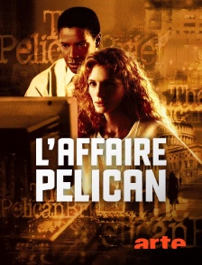 L'affaire Pélican