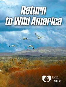 Cap Terre - Return to Wild America