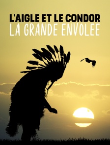 L'aigle et le condor, la grande envolée