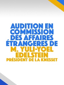 Audition en commission des affaires étrangères de M. Yuli-Yoel Edelstein, président de la Knesset