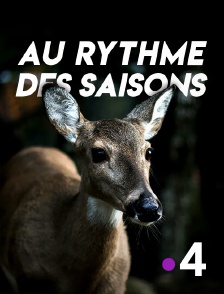 Au rythme des saisons