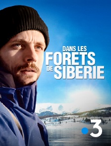 Dans les forêts de Sibérie