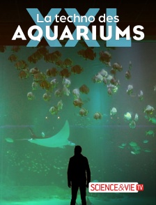 Science et Vie TV - La techno des aquariums XXL