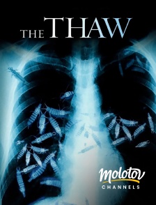 Molotov channels - The Thaw