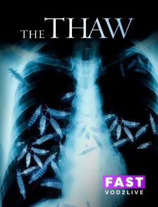 Molotov Channels TEST FAST - The Thaw
