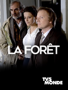 TV5MONDE - La forêt