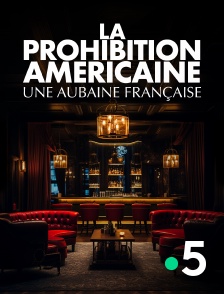 France 5 - La prohibition américaine, une aubaine française