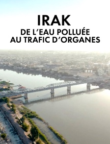 Irak : de l'eau polluée au trafic d'organes