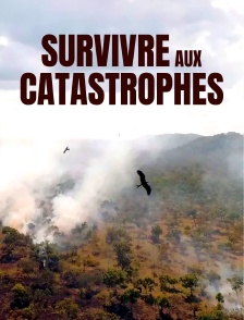 Survivre aux catastrophes : les stratégies de la nature