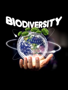 Biodiversity