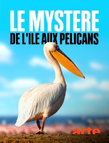 Arte - Le mystère de l'île aux pélicans
