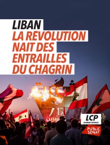 LCP Public Sénat - Liban : la révolution nait des entrailles du chagrin