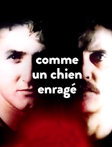 Comme un chien enragé