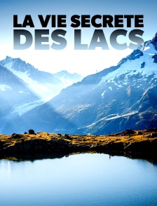 La vie secrète des lacs