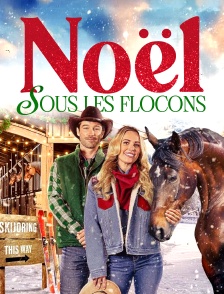 Noël sous les flocons