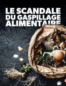 LE SCANDALE DU GASPILLAGE ALIMENTAIRE