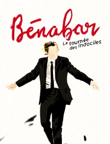 Bénabar - tournée des indociles