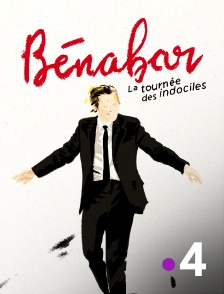 France 4 - Bénabar : tournée des indociles