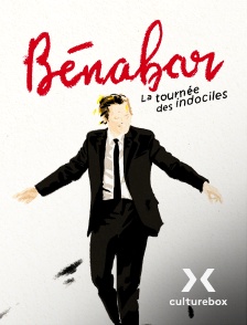 Culturebox - Bénabar - tournée des indociles