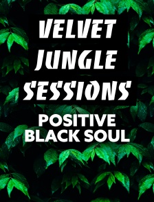 Velvet Jungle Sessions : Positive Black Soul