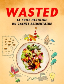 Wasted ! La folle histoire du gâchis alimentaire