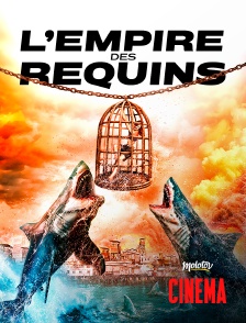 L'empire des requins