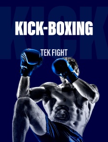 Kick-boxing : Tek Fight