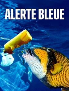 Alerte Bleue