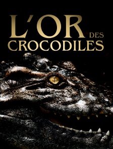L'or des crocodiles
