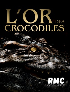 RMC Découverte - L'or des crocodiles