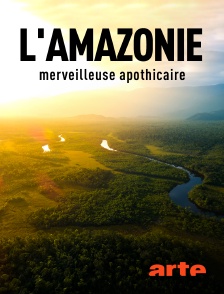 L'Amazonie, merveilleuse apothicaire