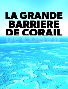 La grande barrière de corail
