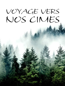 Voyage vers nos cimes