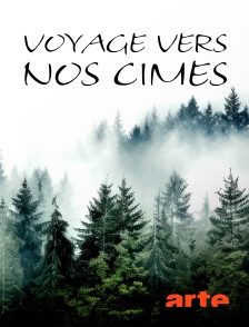 Arte - Voyage vers nos cimes