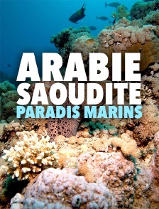 Arabie Saoudite, paradis marins