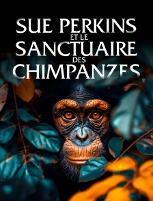 Sue Perkins et Le sanctuaire des Chimpanzés