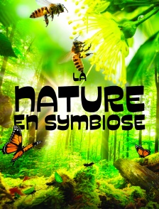 La nature en symbiose