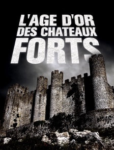 L'âge d'or des châteaux forts