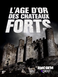 L'âge d'or des châteaux forts