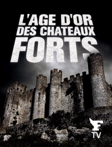 Le Figaro TV Île-de-France - L'âge d'or des châteaux forts