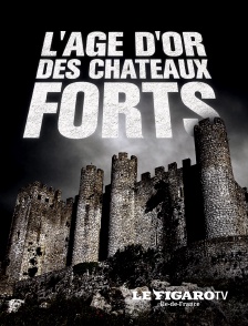 L'âge d'or des châteaux forts