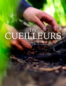 Les cueilleurs