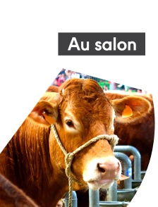 Au salon