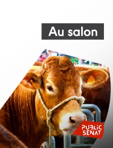 Public Sénat - Au salon