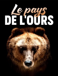 Le pays de l'ours