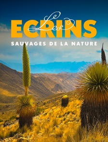 Les écrins sauvages de la nature